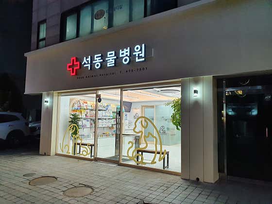 석동물병원 대표이미지
