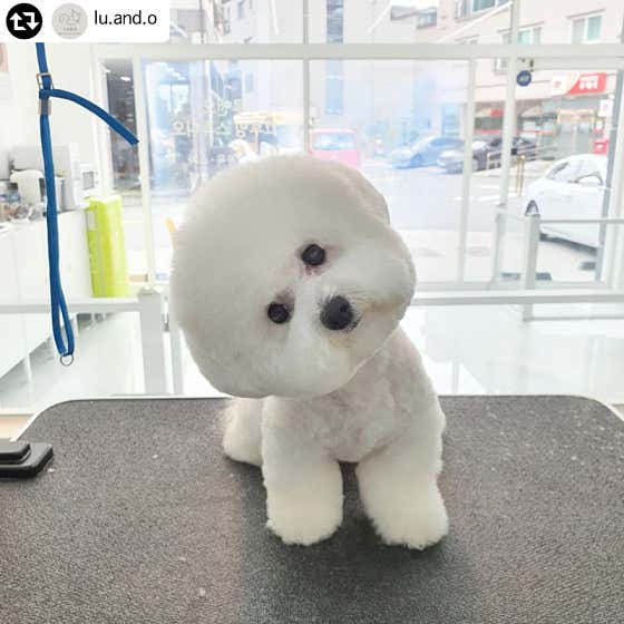 루앤오 대표이미지