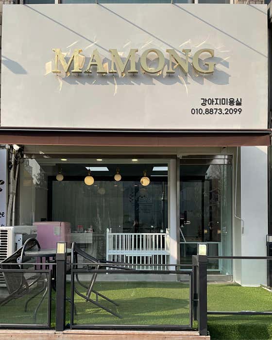 마몽 대표이미지