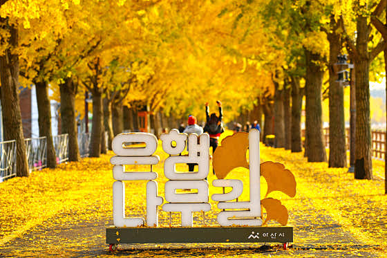 은행나무길 국수집 · 네이버 지도·플레이스 4