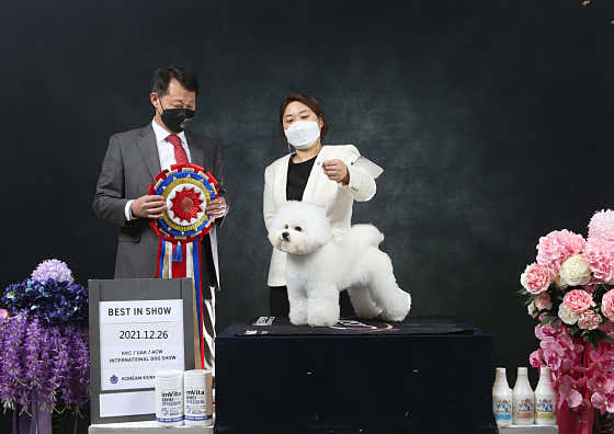 에스티비숑프리제 · 네이버 지도·플레이스 10