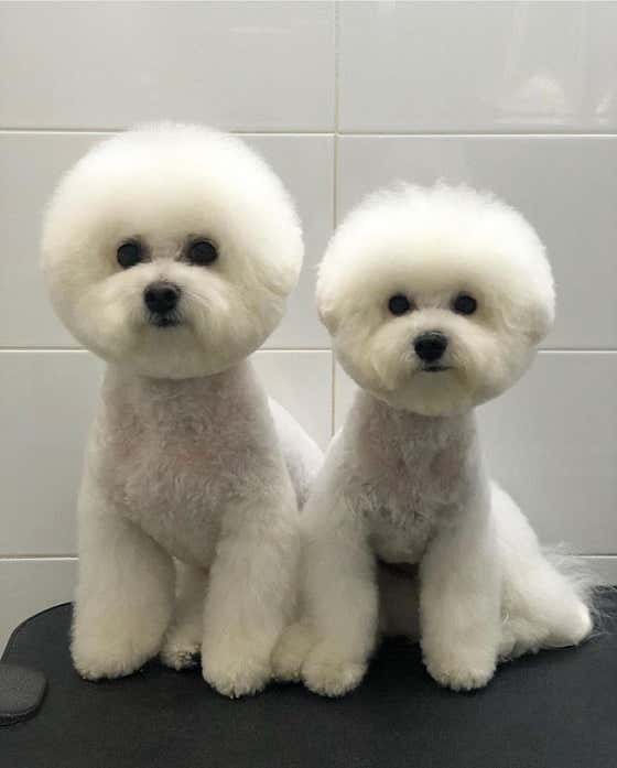 따숩 · 네이버 지도·플레이스 9