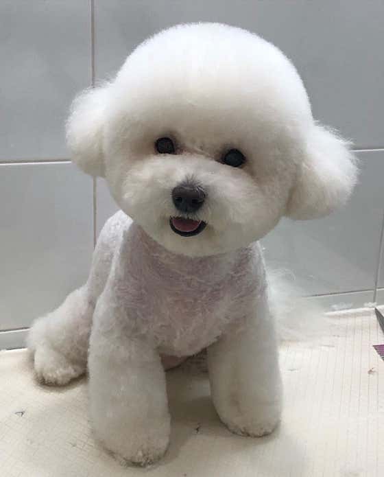 따숩 · 네이버 지도·플레이스 10