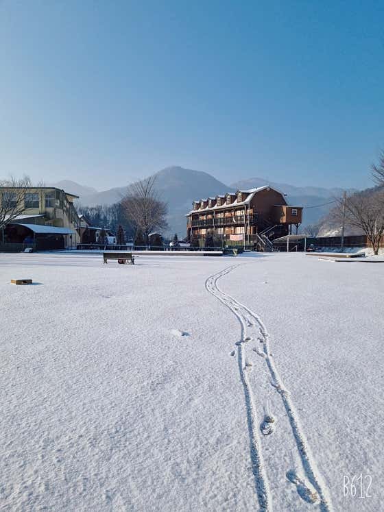나무야나무야캠핑장 대표이미지