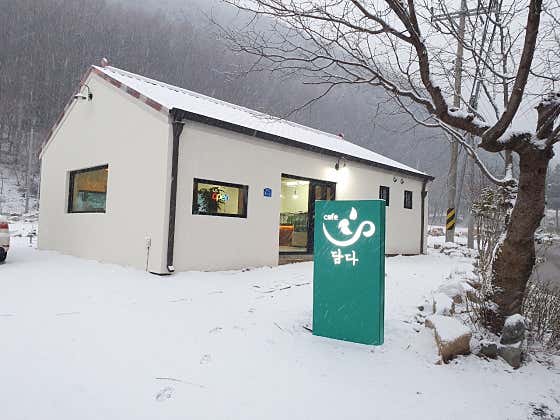Cafe 담다