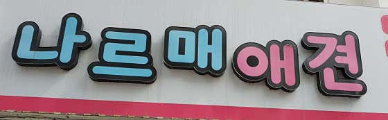 나르매애견
