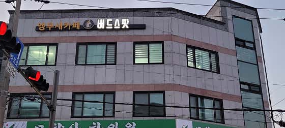 카페 버드스팟