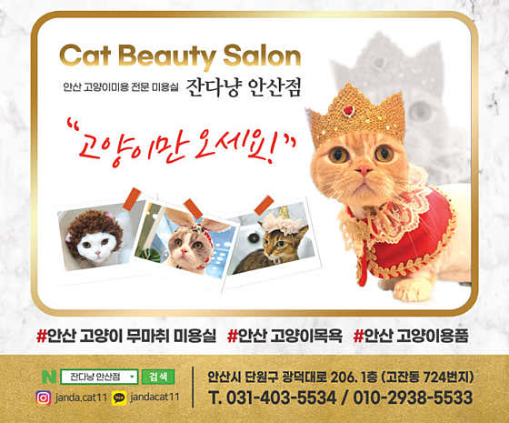 잔다냥 안산점 · 네이버 지도·플레이스 2