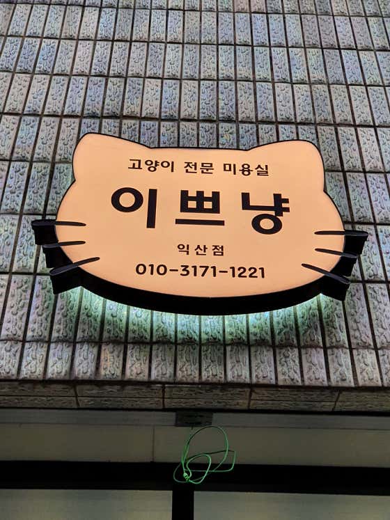 네이버 플레이스 이쁘냥 고양이미용실 익산점 : 네이버