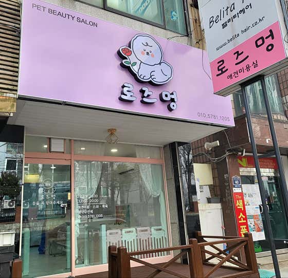 로즈멍 대표이미지