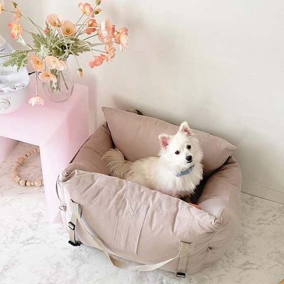 개과천선 · 네이버 지도·플레이스 2