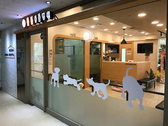 돌봄동물병원 · 네이버 지도·플레이스 2