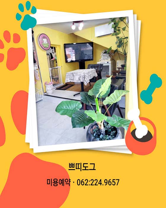 쁘띠도그 산수2호점 · 네이버 지도·플레이스 6