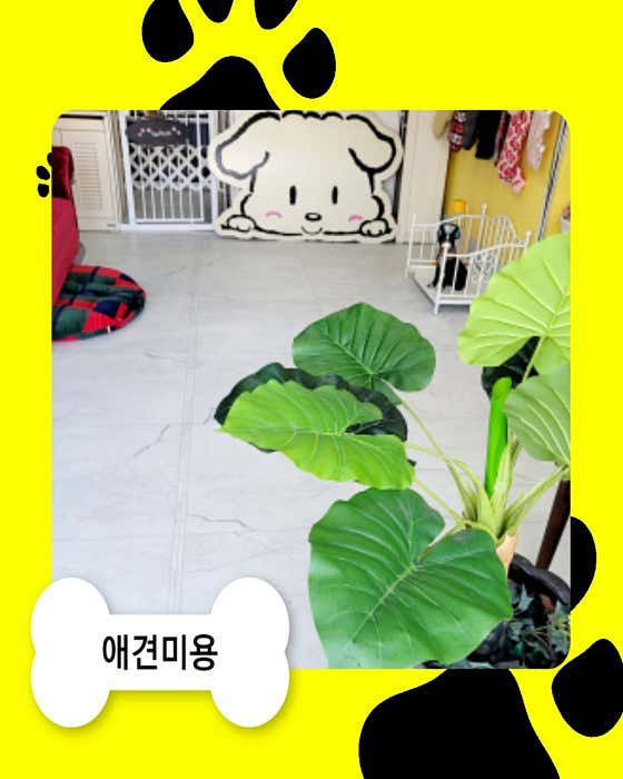 쁘띠도그 산수2호점 · 네이버 지도·플레이스 5
