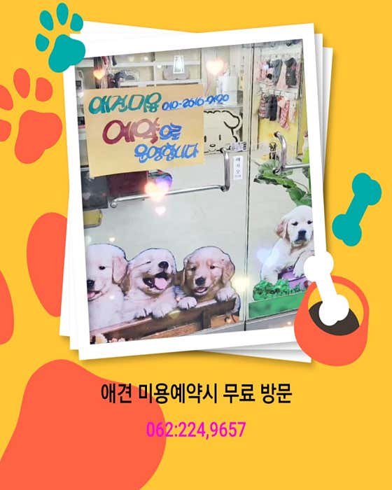쁘띠도그 산수2호점 · 네이버 지도·플레이스 4