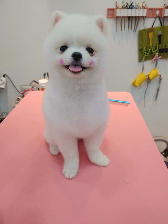 개성있개