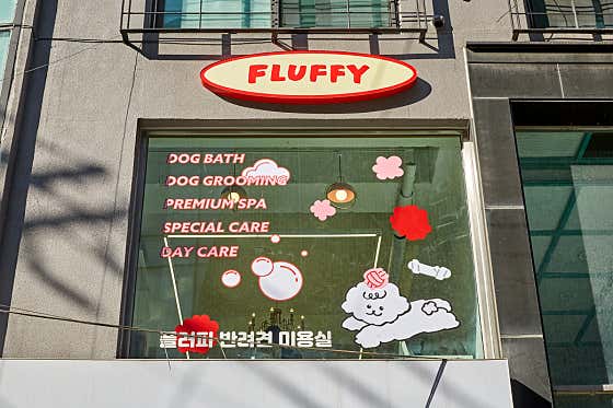 플러피애견미용실 · 네이버 지도·플레이스 6
