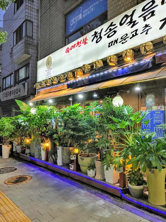 네이버 플레이스 속에천불청송얼음막걸리 신대방점 : 네이버
