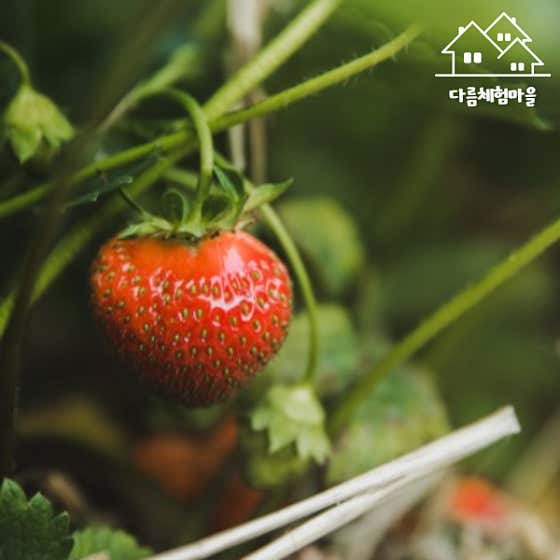 다름체험마을