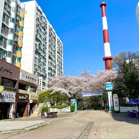 시마동물병원 대표이미지