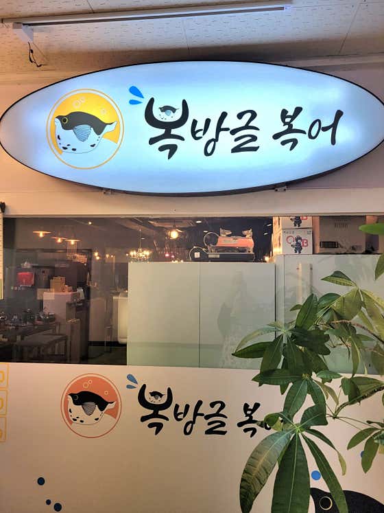 복방글 사진 2