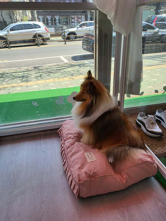 오늘은꽃단장 · 네이버 지도·플레이스 7