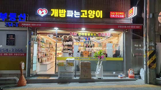 개밥파는고양이 은평신사점