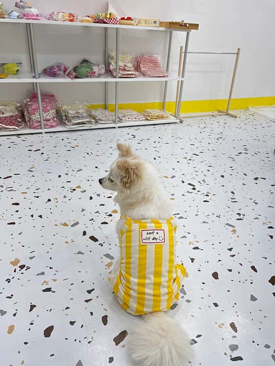 카페모모 · 네이버 지도·플레이스 5