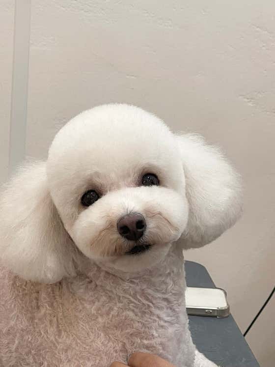 따숩 · 네이버 지도·플레이스 5