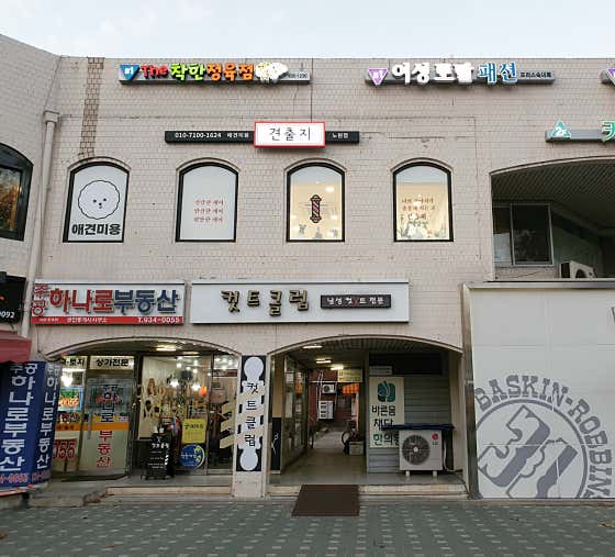 견출지 애견미용 노원점 · 네이버 지도·플레이스 8