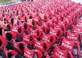 동강 래프팅(영월) 사진