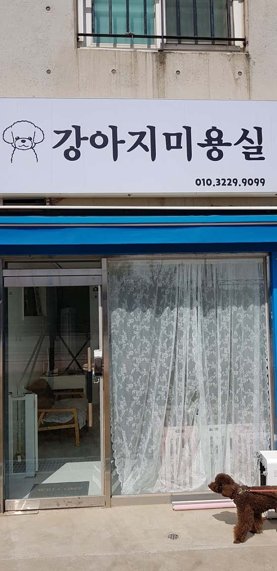 강아지미용실 대표이미지