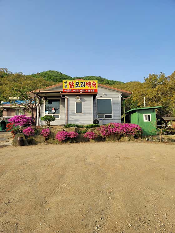 네이버 플레이스 산골 닭오리백숙 : 네이버