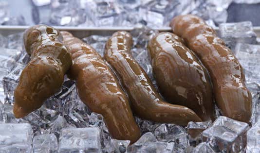 개불 메뉴 사진(네이버)