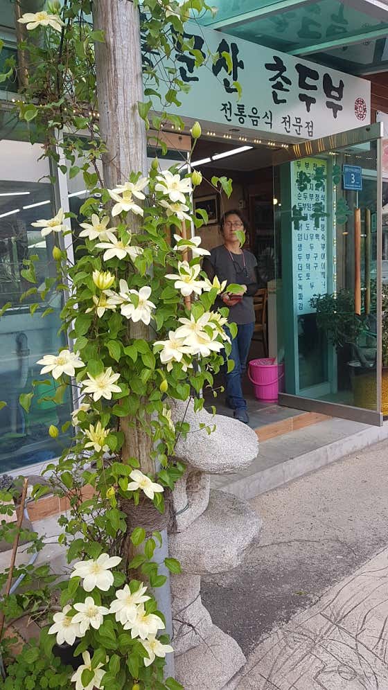 용문산 촌두부 · 네이버 지도·플레이스 3