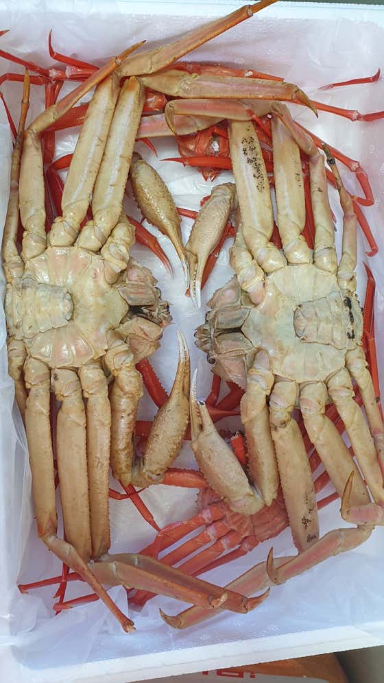 대게 메뉴 사진(네이버)