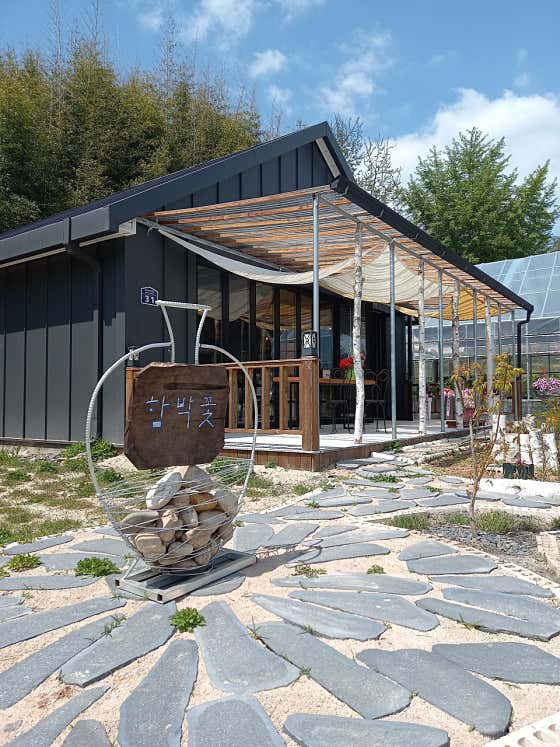 함박꽃