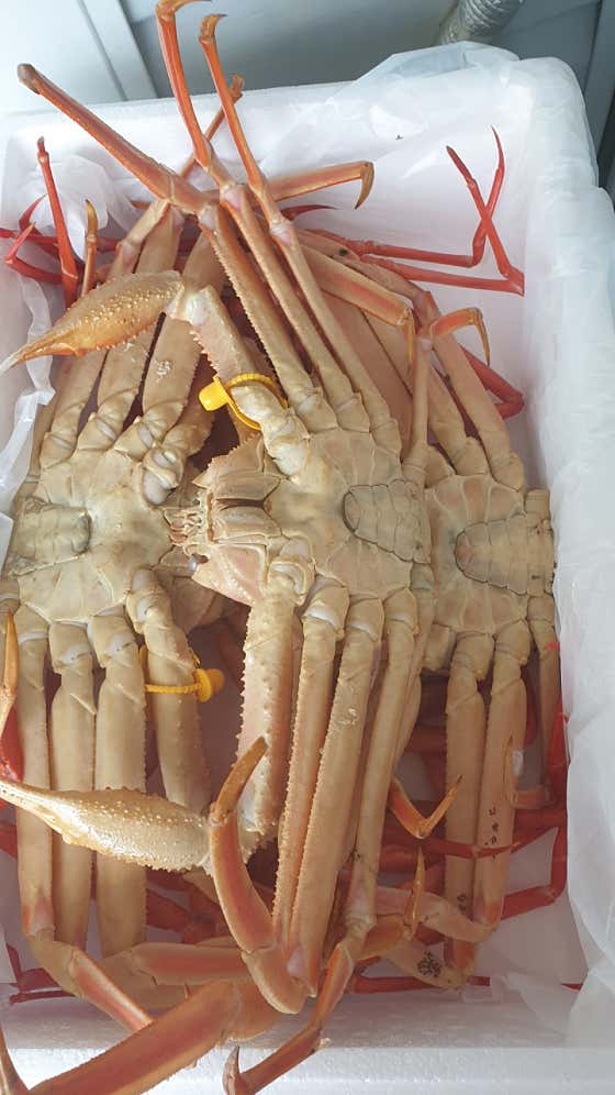 박달대게 메뉴 사진(네이버)