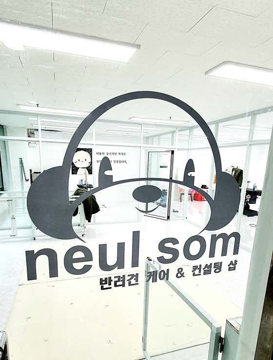 늘솜 대표이미지