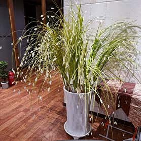 남포동더타이 (자갈치역) 매장 사진 5