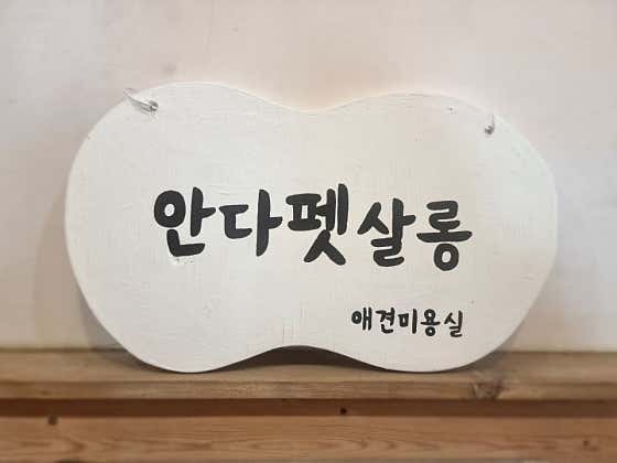 안다펫살롱 · 네이버 지도·플레이스 2