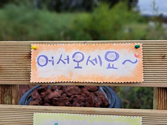 월산찻집 · 네이버 지도·플레이스 4