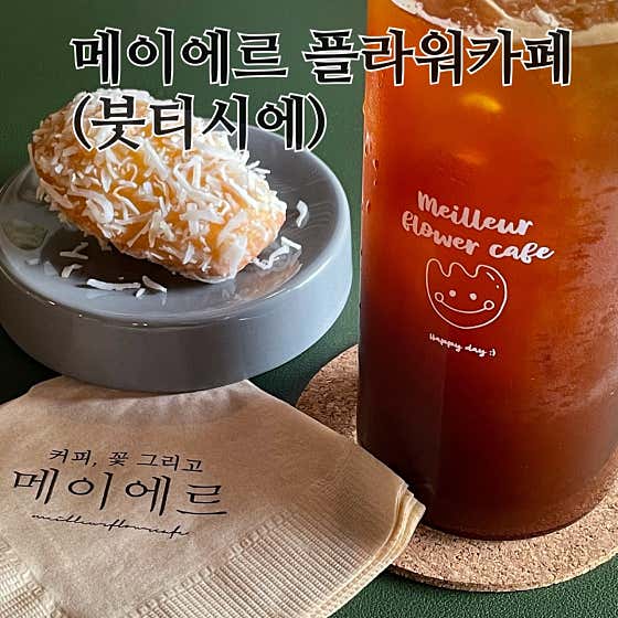 붓티시에 메이에르