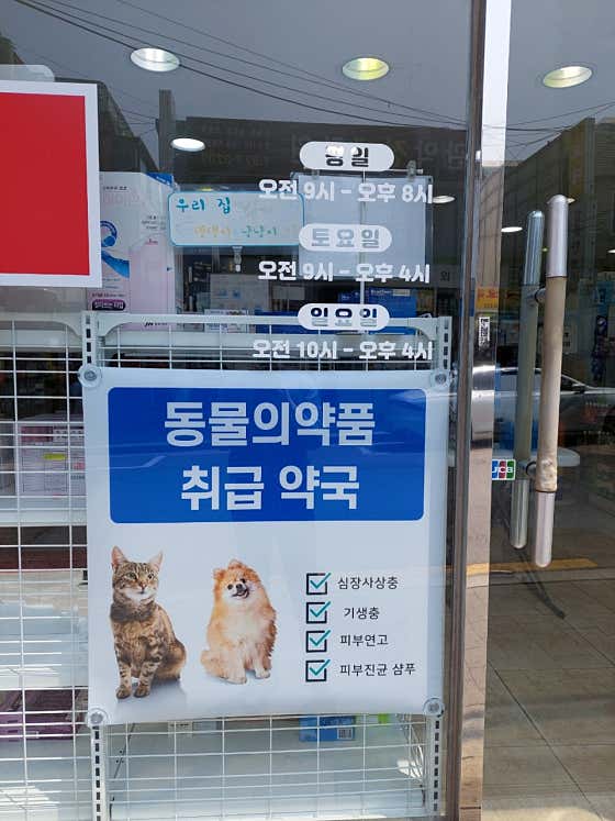 매일약국 · 네이버 지도·플레이스 2