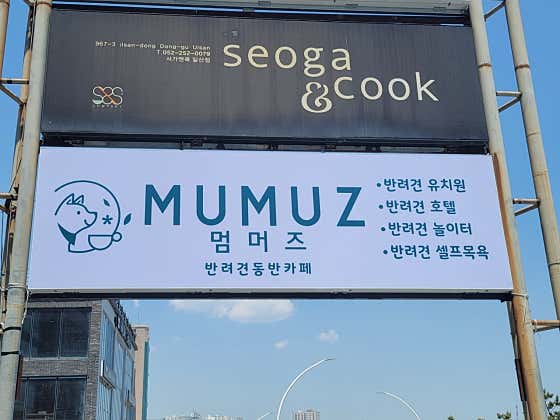 멈머즈 · 네이버 지도·플레이스 2
