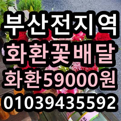 부산화환배달
