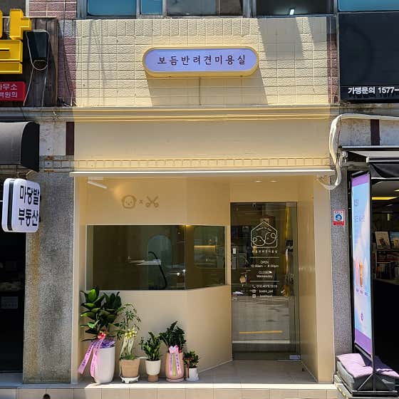 보듬반려견미용실 · 네이버 지도·플레이스 2