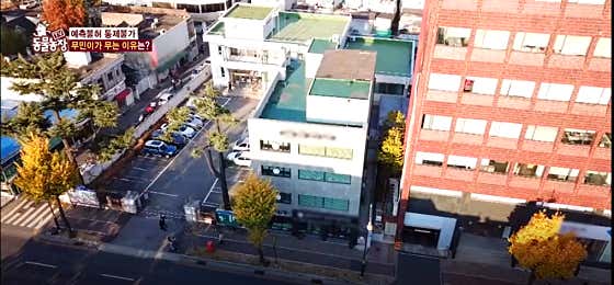 권트리머 애견모델미용실 · 네이버 지도·플레이스 5