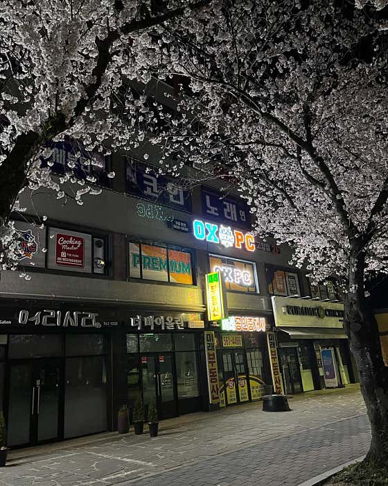 오엑스피씨 고창점