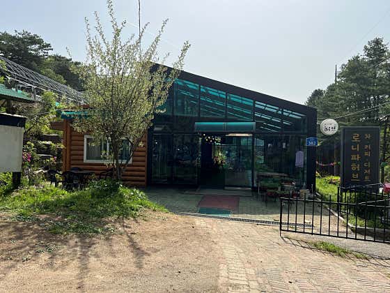 로니파허브 티카페